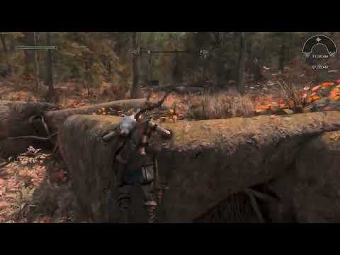 NOTWL, Freak's Floral Meadows, and Simply Bigger Trees. It's Autumn outside of Falkreath.