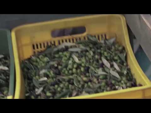 Pietre al Monte - A Tuscan Treasure