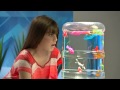 ROBOTKALA Zuru Robofish