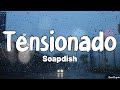 Tensionado Lyrics Soapdish