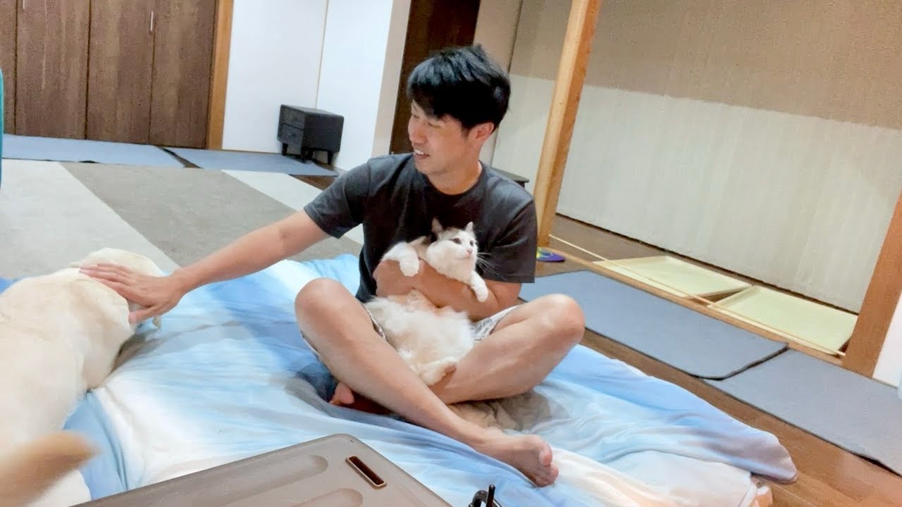犬と猫と暮らすとこうなります