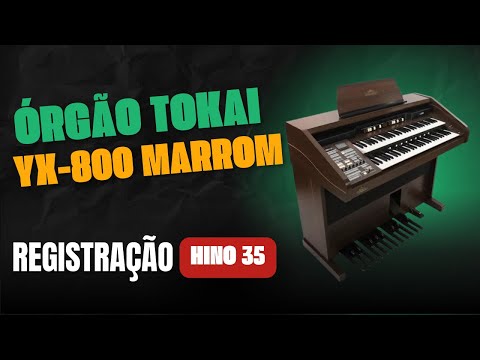 ORGANIST YX-800