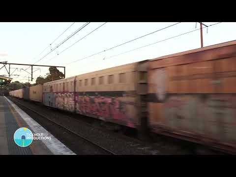 Diesel Locomotives CSR005, SCT010 & LZ3120 - Cowan - December 2022