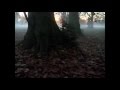 george adams+don pullen Quartet- autumn song