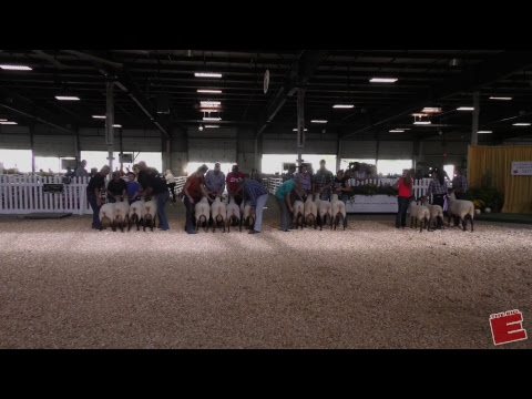 2017 - Sept 22nd - Northeast Regional Tunis Show