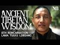 The Art of Stillness in a Loud World | A Buddhist Master’s Guide — Tulku Lobsang Rinpoche