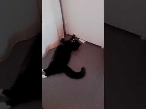 quand tu es aux toilettes