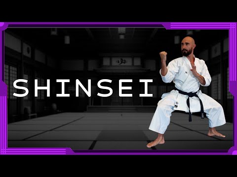Shinsei Shito-Ryu - Escuela de Karate Online HK