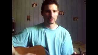 Johnny Hallyday - Serre la main d'un fou (guitar cover)