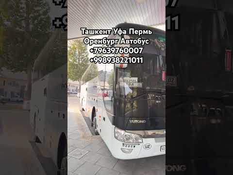 УФА ТАШКЕНТ АВТОБУС 2025 УЗ АВТО ТРАНС #уфа #пермь #ташкент #автобус #узбекистан #таджикистан