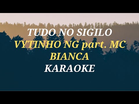 TUDO NO SIGILO Vytinho NG part MC Bianca KARAOKE AMOSTRA