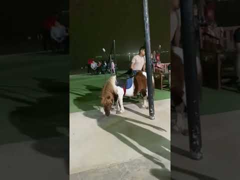 Eid Day In Kuwait Magic Part 2