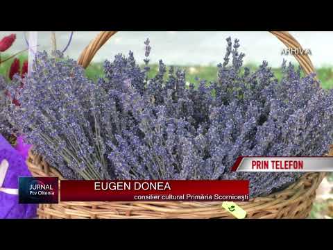 FESTIVALUL TOAMNEI "ZIUA RECOLTEI", LA SCORNICEŞTI