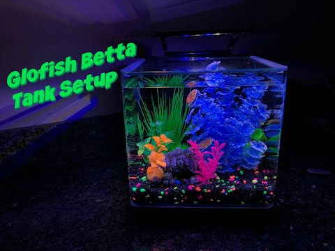 Glofish Betta Tank Unboxing & Setup!