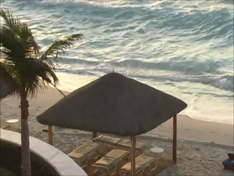 Dale James Band - On The Beach