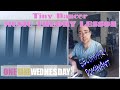 Tiny Dancer Music Theory Lesson Elton John