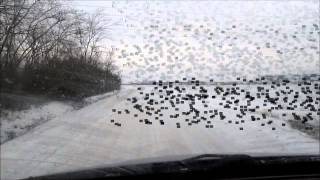 Hófúvásos utak 2012-12-08