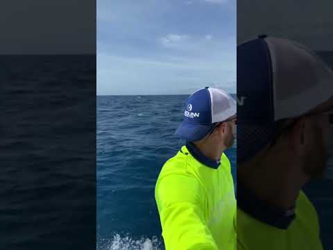 Contender 23t in the ocean