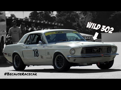 68 Mustang Historic Touring Car | 302ci | Peter Pisconeri | Mainline Motors | Wanneroo Race Day |