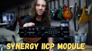 Video thumbnail for Synergy IICP by Leon Todd