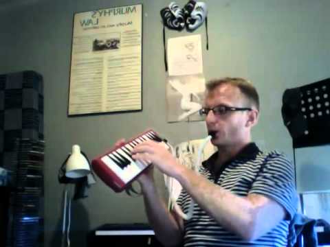 Avicii - Levels (Melodica cover)