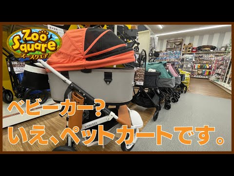 ズースクエア岡崎店_#9 おでかけアイテム編