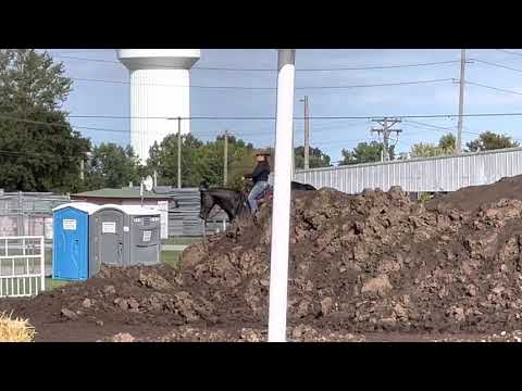 AHCA Nationals Open Division Annie Chance Nu Model Mercedes 2021