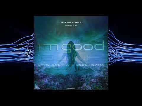 SICK INDIVIDUALS vs. David Guetta, Bebe Rexha - I Want You vs. I'm Good (Blue) (AirKutz Mashup)
