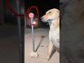 POV When Legend Boy Use Harry Potter Stick On Ghost Hanuman Ghost Bhoot Hanumanji
