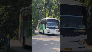 Download lagu naik bus damri #bandara #busmania #bus #telolet #basuri #damri mp3 Download lagu naik bus damri #bandara #busmania #bus #telolet #basuri #damri mp3
