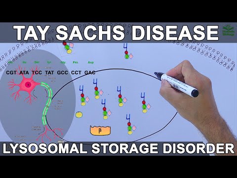 Tay Sachs Disease | Lysosomal Storage Disorder