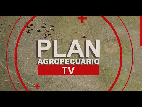 Programa delPlan Agropecuario del 2 de febrero de 2026