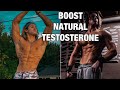 How To Increase Natural Testosterone | Maximize Gains From Hormones