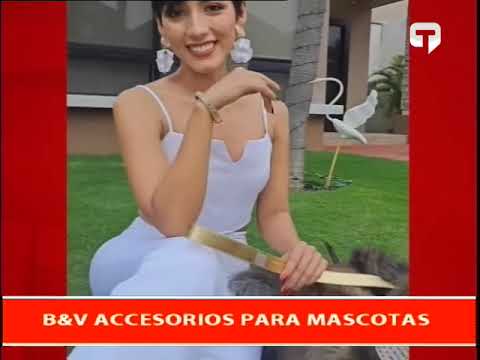 B&V accesorios para mascotas