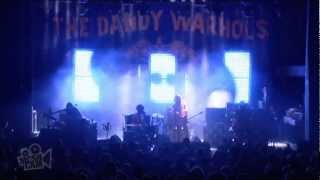 The Dandy Warhols - I Love You (Live in Sydney) | Moshcam