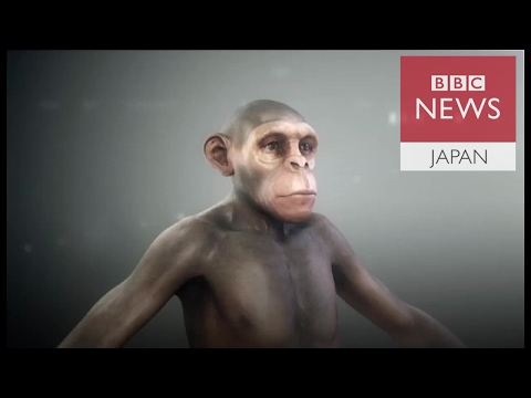 考古学的発見:研究者がモロッコで驚くべき足跡を発見