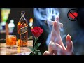 No Love No Girlfriend Status Im Single ST STORY