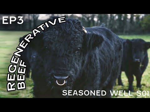 Regenerative Beef - Seasoned Well - Gower