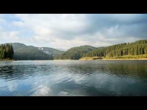 Shyama aan baso vrindavan me....#shorts #new #nature