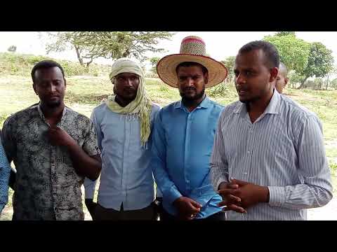 halaba zone wera dijo wereda bando choloqsa kebele