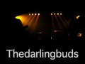 The Darling Buds-Where Did All My Friends Go ...