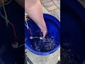 Water Break In Method For Brushed Motors RC And Power Wheels Motors