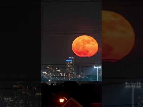 Moonrise in Toronto! #toronto #absolute #moon #moonrise #photopills