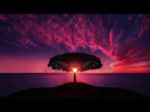 Tuvaband - Trees (Federico Monachesi Rmx)