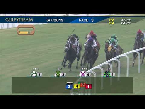 Gulfstream Park June 7, 2019 Race 3