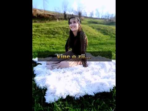 Sara Lupchian "Darul  prețios  lumina"(Nevazatoare)