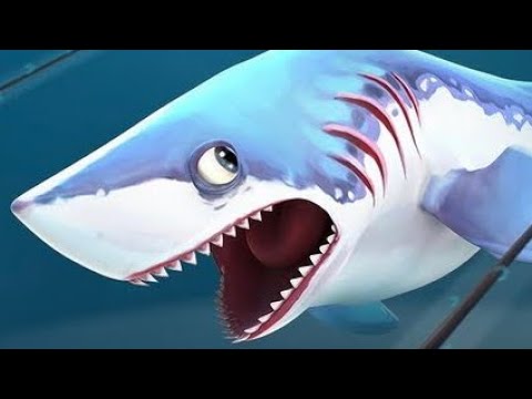 Sparkle ❇️ Porbeagle in Arctic Ocean Live Contests - Hungry Shark World