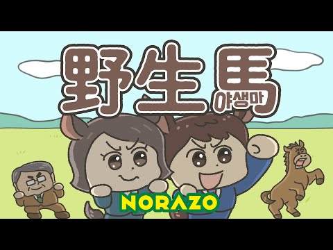 Wild Horse (JP Ver.) [Lyric Video] / NORAZO