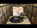 Scratch Acid ‎"Berserker" Full Album
