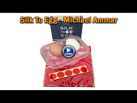 Voir la vidéo de Silk to Egg - Michael Ammar